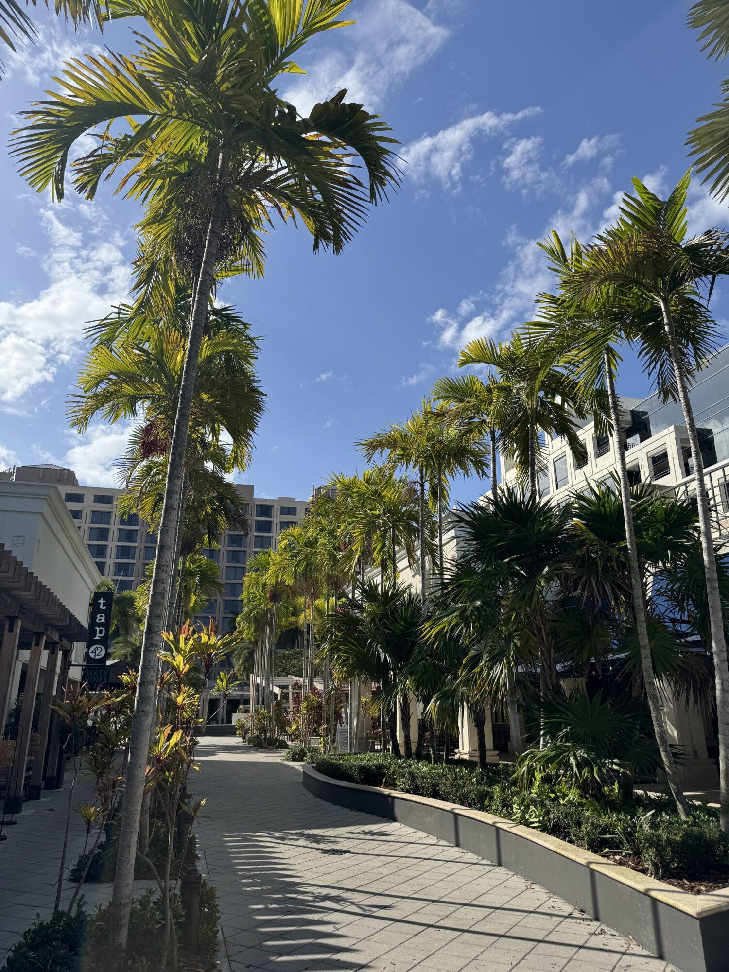 IMG_2731 aesthetic dentist boca raton